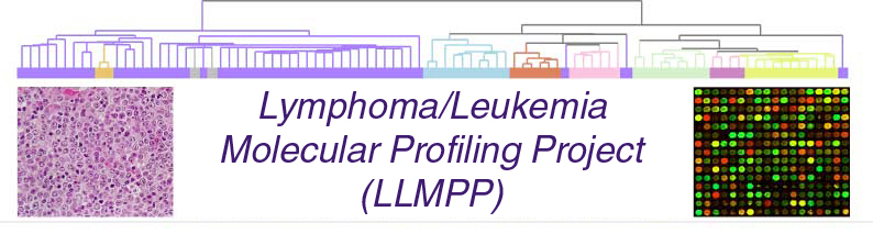 LLMPP logo